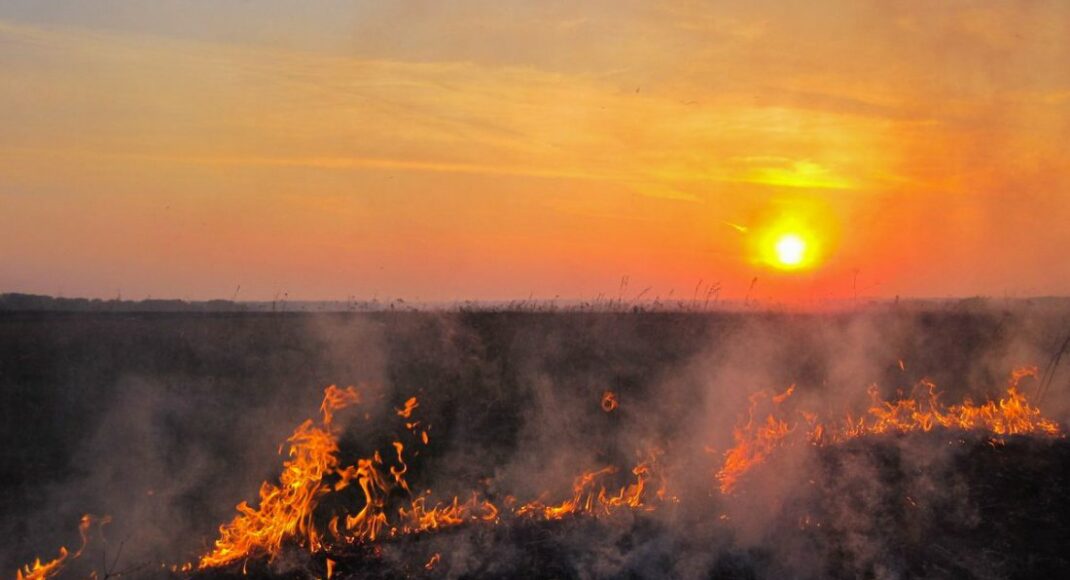 На околиці окупованій Горлівки сталася пожежа, - соцмережі