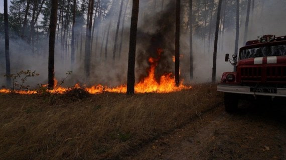 На Луганщині ліквідовано ще 9 осередків виникнення пожеж