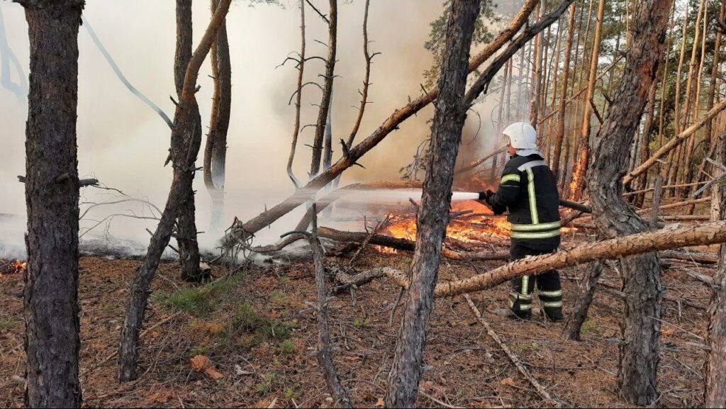 На Луганщине ликвидировано еще 4 очага возникновения пожаров