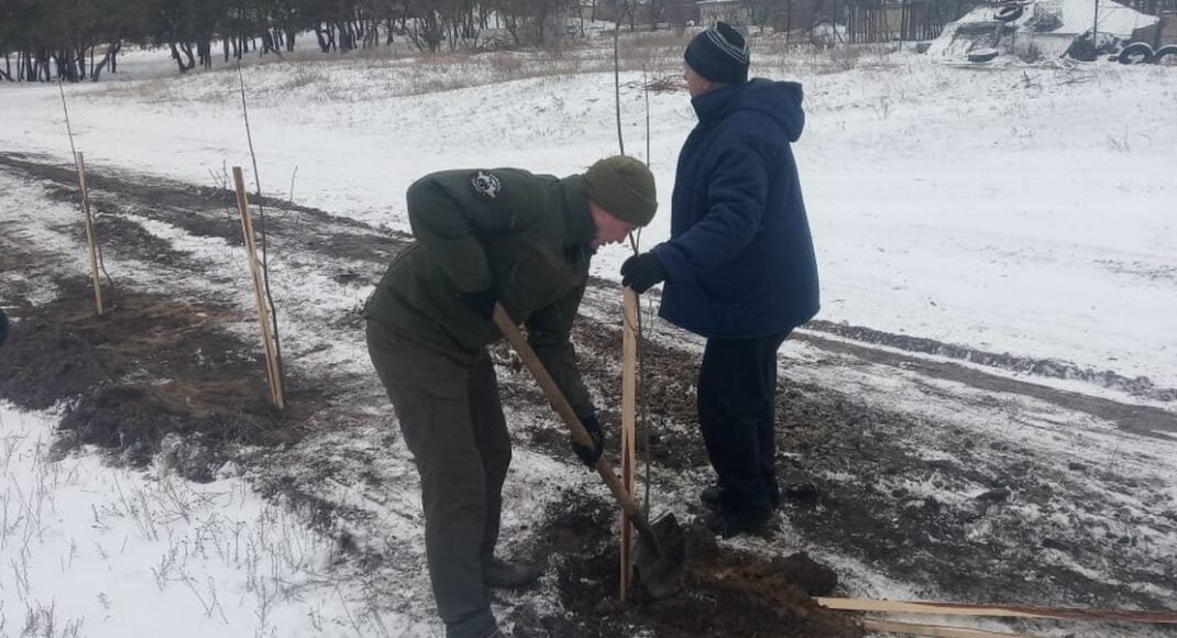 Поможем всей Украиной. Кто на Луганщине восстанавливает сгоревший лес