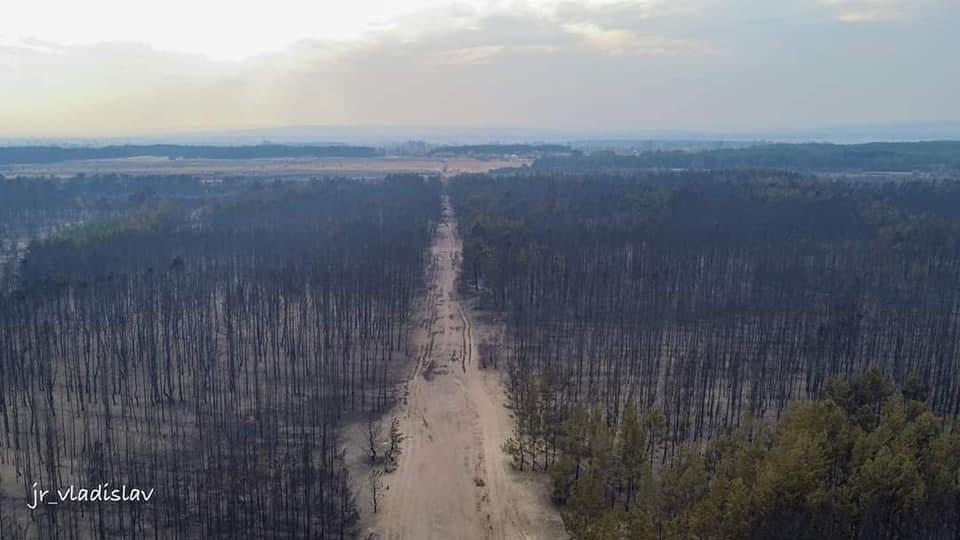 “Втрачаємо дорогоцінний час”: експерти про наслідки пожеж на Луганщині