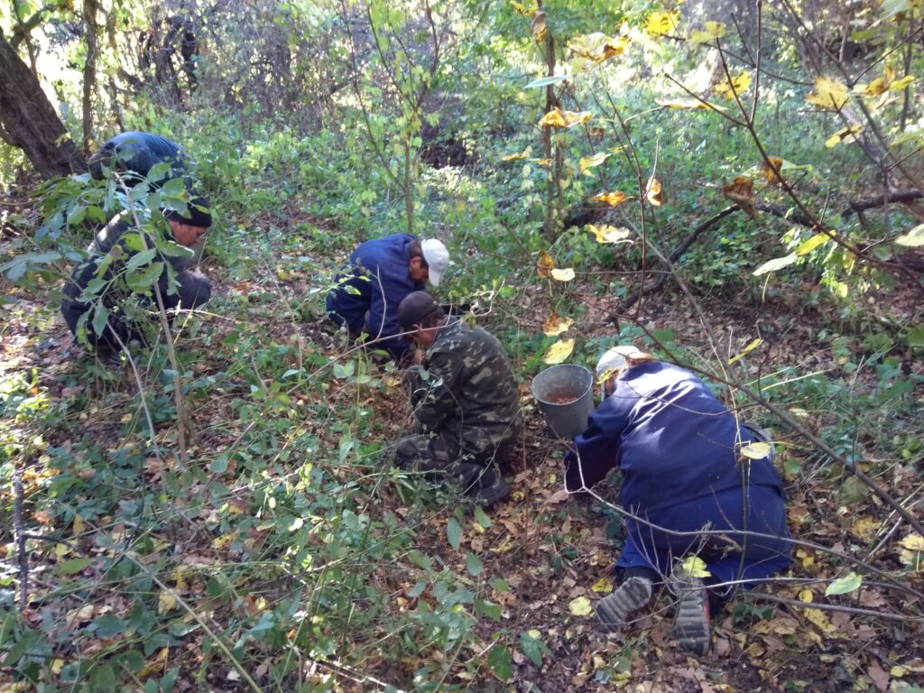 В Станице Луганской высадят 1300 га леса на месте сгоревших деревьев