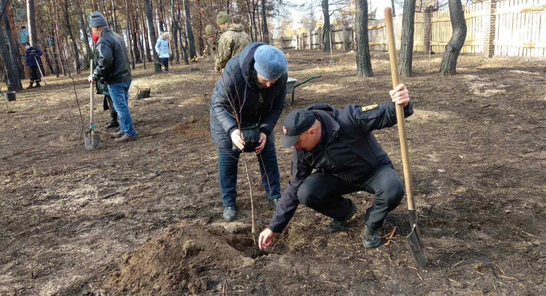 На Луганщине жители и сотрудники ГСЧС высадили 120 саженцев деревьев