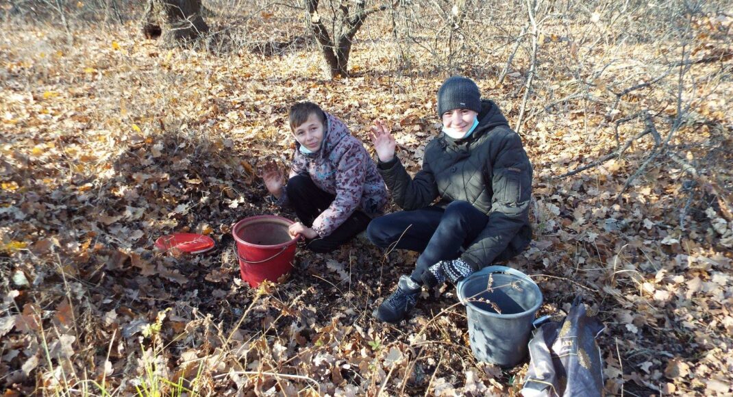 Школьники Станицы Луганской собрали тонну желудей для восстановления лесов