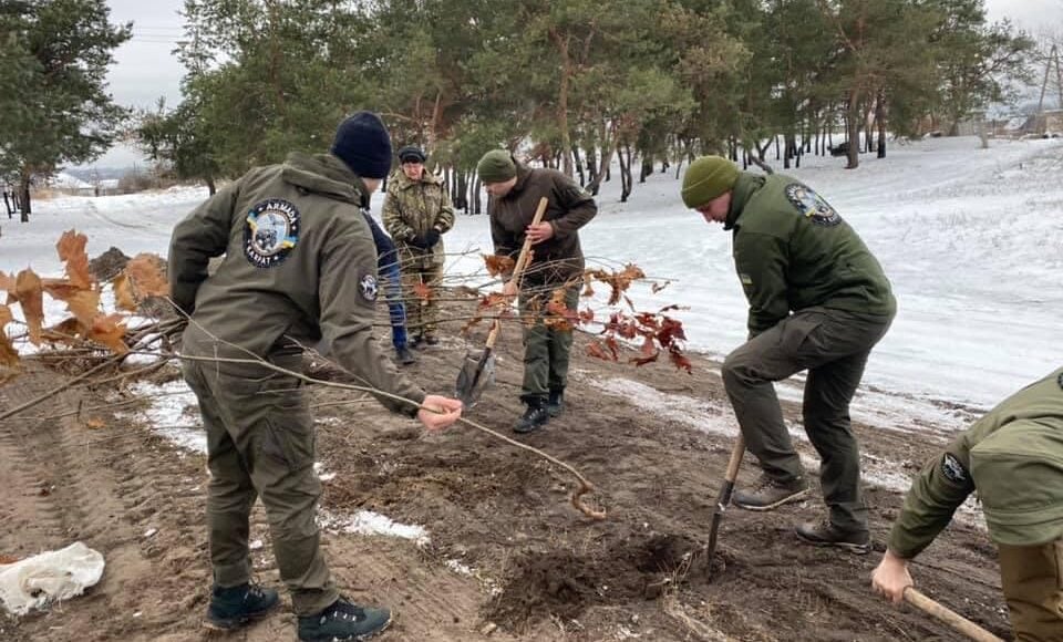 Более 1000 саженцев деревьев из Закарпатья высадили на Луганщине: фото