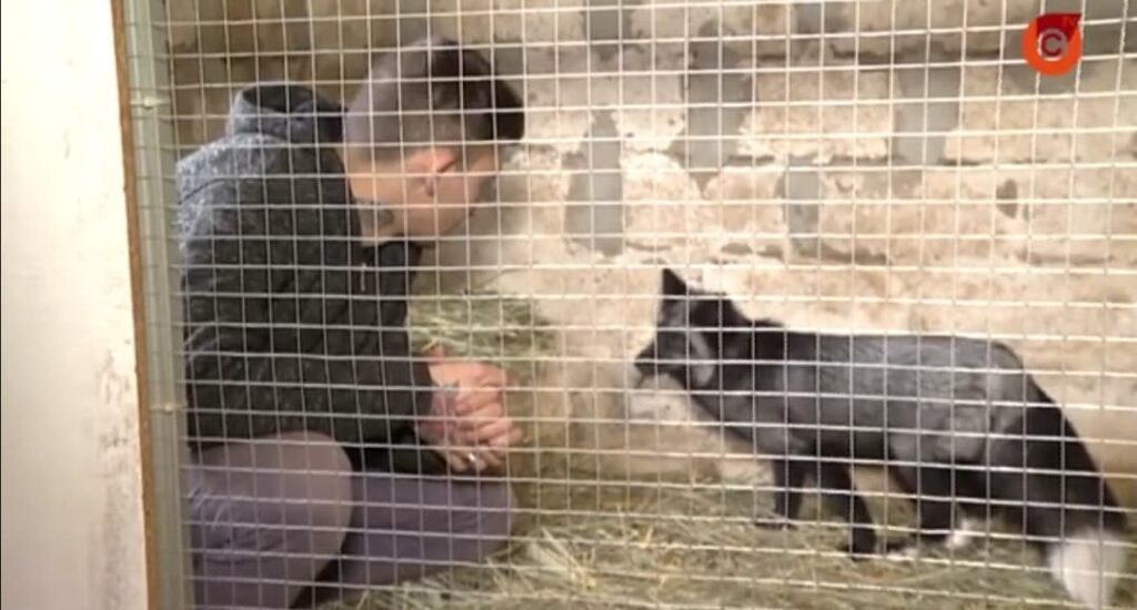 Житель Мариуполя создал центр реабилитации диких животных