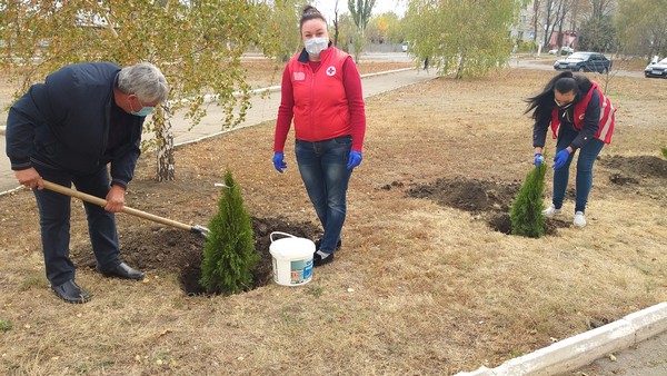 В прифронтовой Марьинке высадили новую аллею деревьев: фото