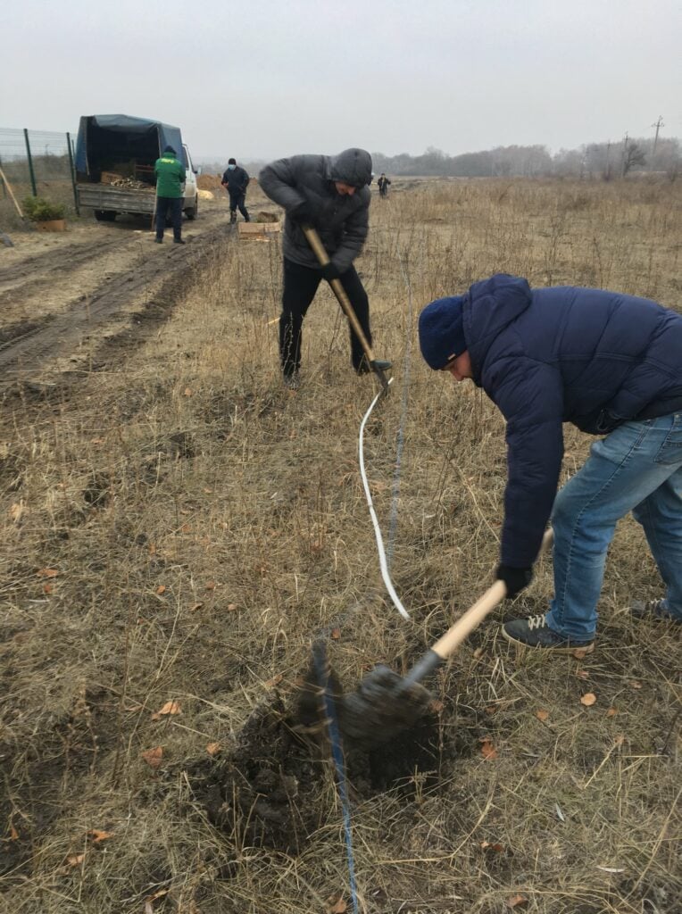 Возле Попасной на Луганщине высадили 500 саженцев смерек