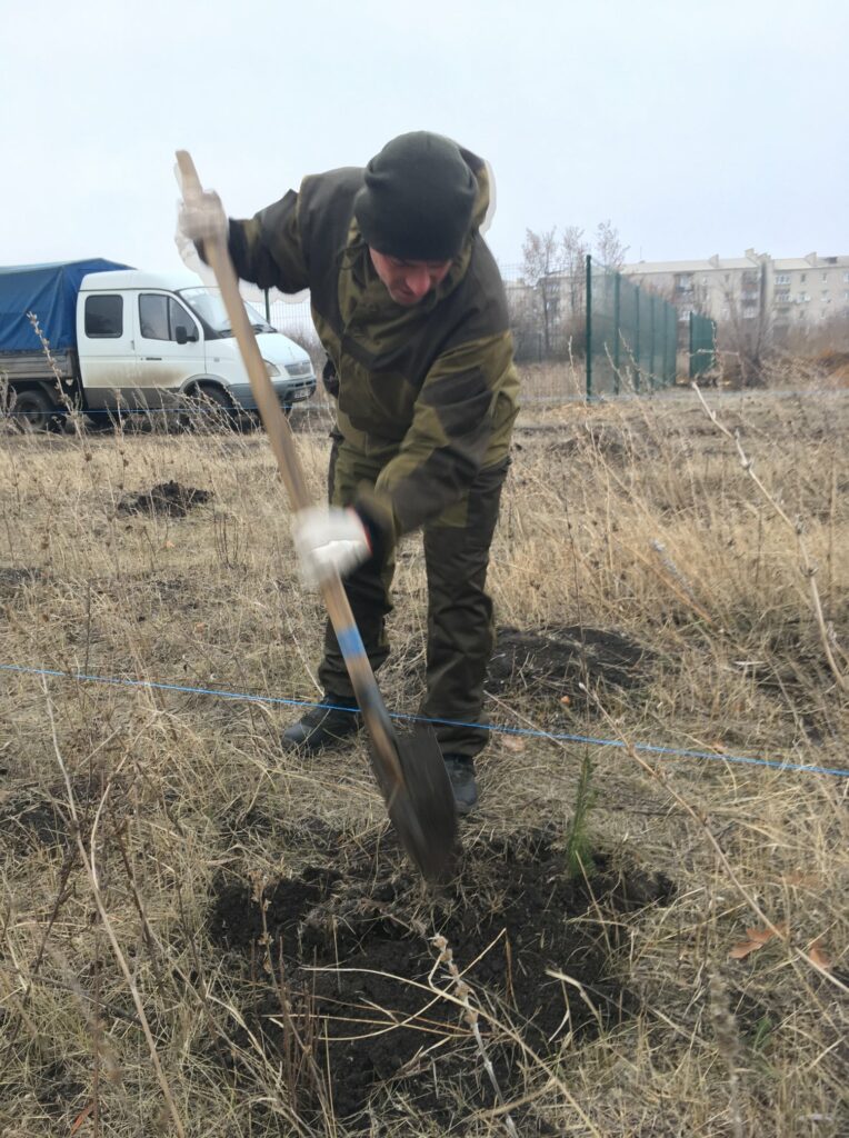 Возле Попасной на Луганщине высадили 500 саженцев смерек