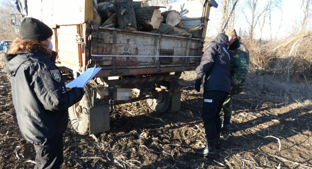 На Луганщине местные жители незаконно рубили вяз на дрова