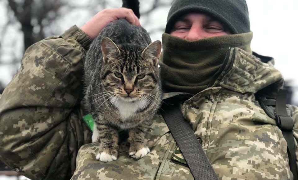 На КПВВ "Золоте" разом з прикордонниками несуть службу коти та собаки: фото