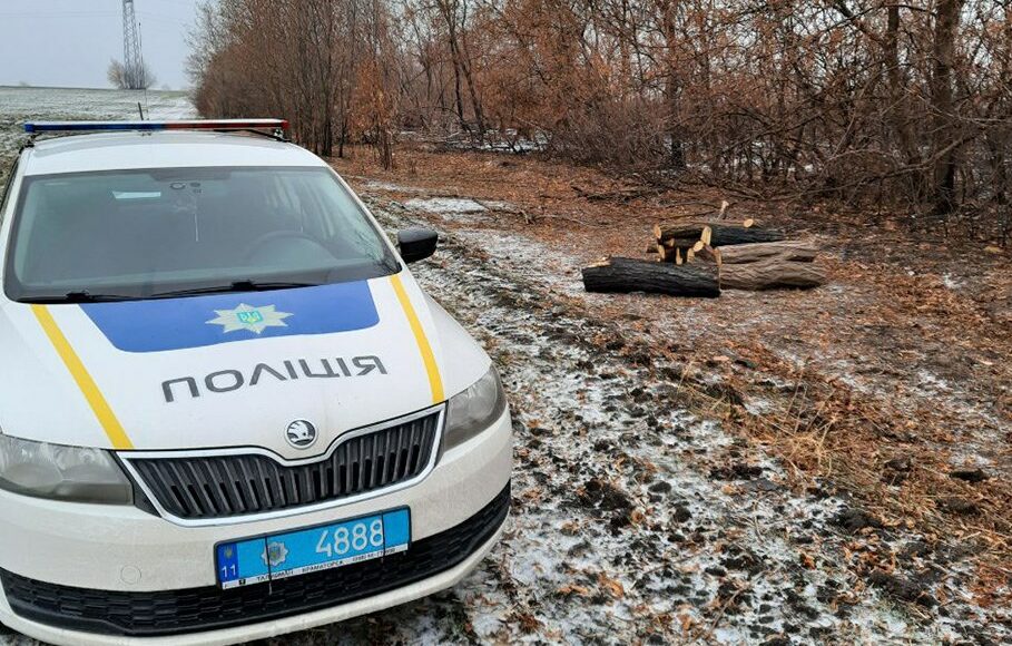 Під Краматорськом затримали нелегальних лісорубів: фото