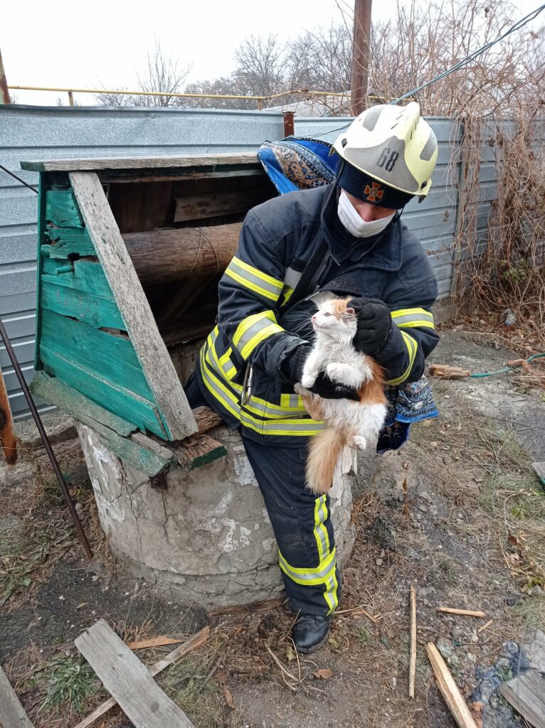 В прифронтовой Волновахе спасатели помогли достать испуганную кошку из колодца