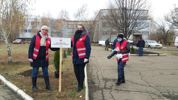 В прифронтовой Марьинке при поддержке Красного Креста высадили новую аллею