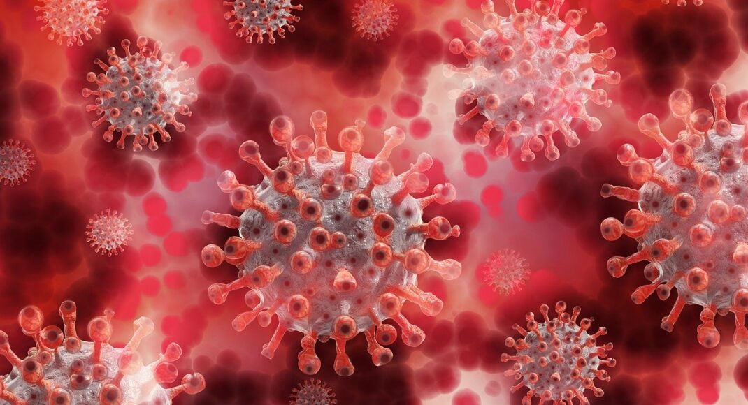 В "ЛНР" заявили о двух летальных случаях от коронавируса