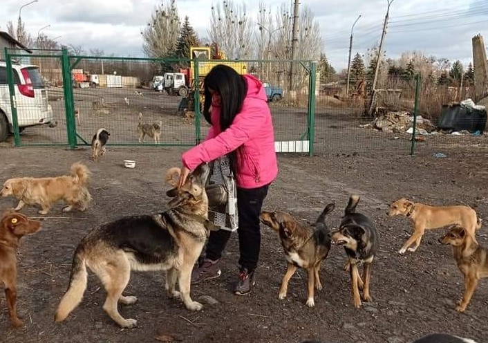 Новые “квартиры” для животных: как жители Славянска помогают бездомным собакам
