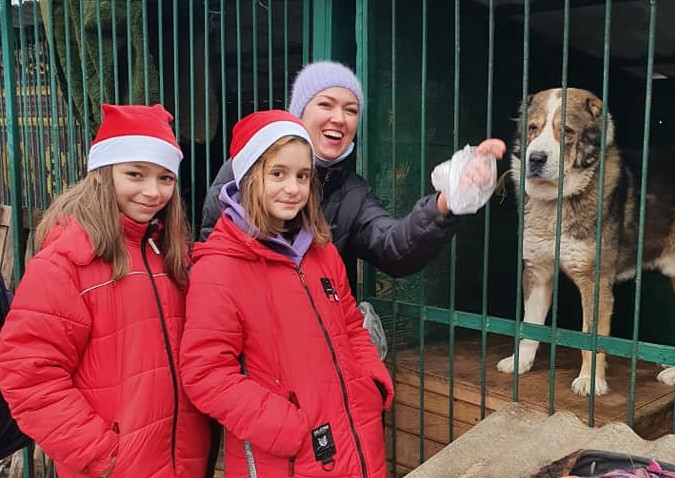 Новые “квартиры” для животных: как жители Славянска помогают бездомным собакам