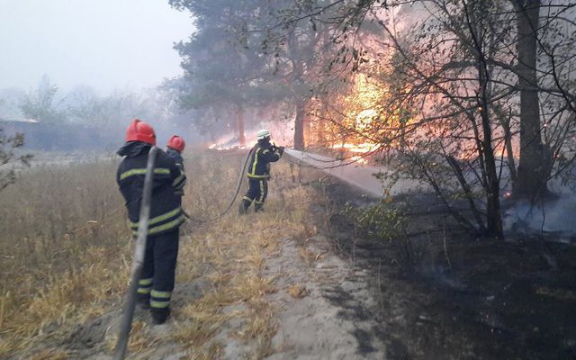 На Луганщине спасатели снова тушат пожары в лесах