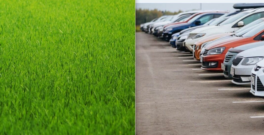 Жителі Сєвєродонецька хочуть збільшити парковки за рахунок газонів: подали петицію (відео)