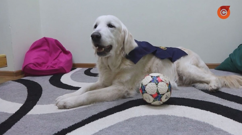 У Маріуполі відправили на пенсію першу собаку-психолога на службі ДСНС (відео)