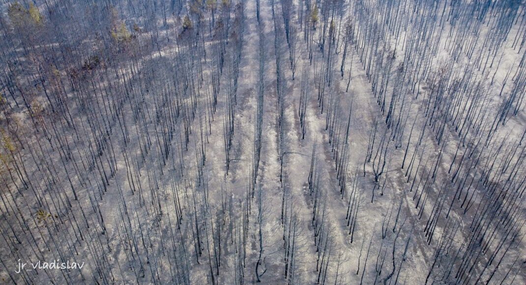 В отношении нескольких сотрудников ГСЧС Луганщины в суд направлены обвинения в связи с лесными пожарами