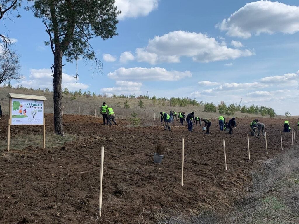  Донеччина долучилася до глобального екологічного проєкту: висадили понад 200 тисяч дерев