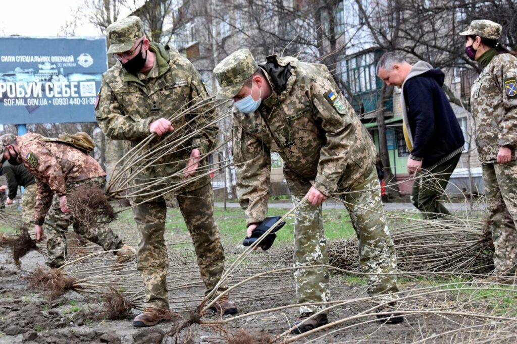 В Бахмуте украинские военные высадили молодые деревья 