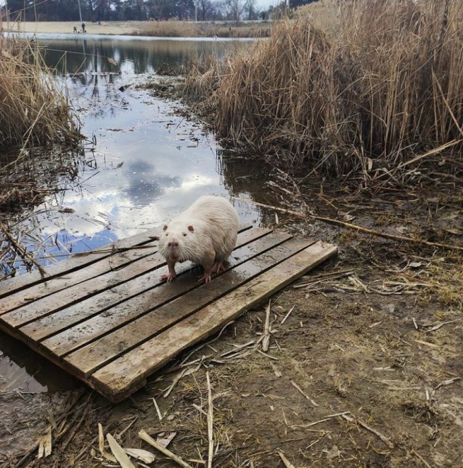 Займы на парковом