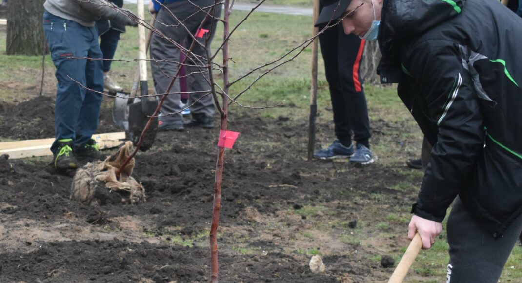 У центрі Сєвєродонецька висадили "сімейні дерева": фото