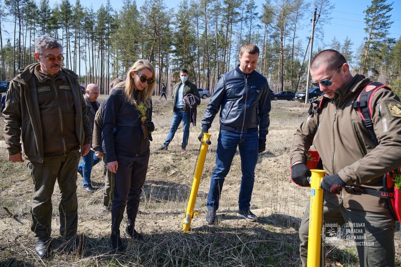 У Лиманському лісництві висадили понад 12 тисяч саджанців сосни: відео