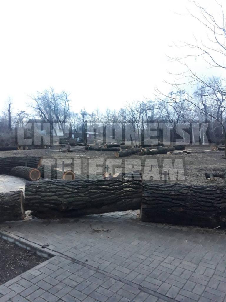 в Донецке вырубают парк
