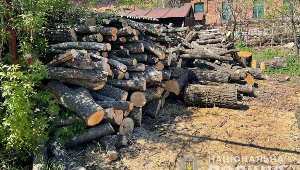 У Бахмутському районі поліція припинила незаконну вирубку лісу