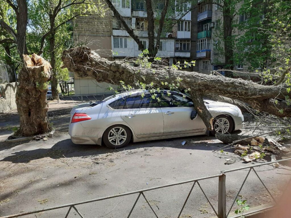 В оккупированном Донецке автомобиль привалило деревом