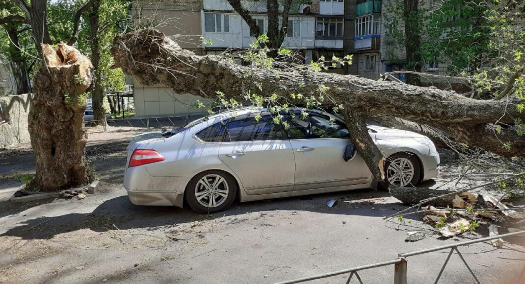 В окупованому Донецьку автомобіль привалило деревом