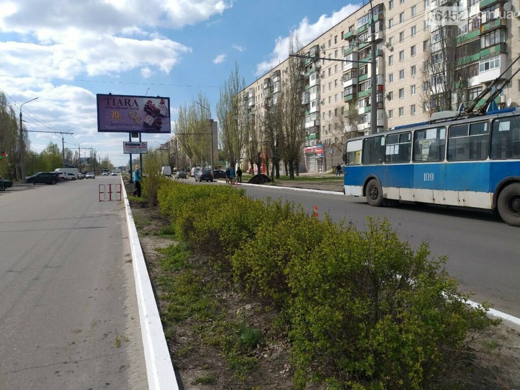 В Северодонецке в рамках программы по озеленению города озеленяют проспект Гвардейский