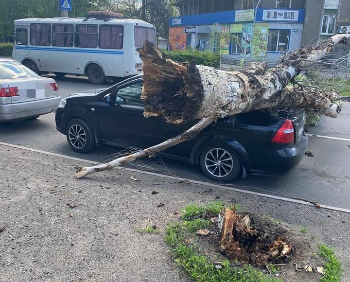 В Славянске от непогоды рвало провода и ломало деревья: повреждены автомобиль и дом