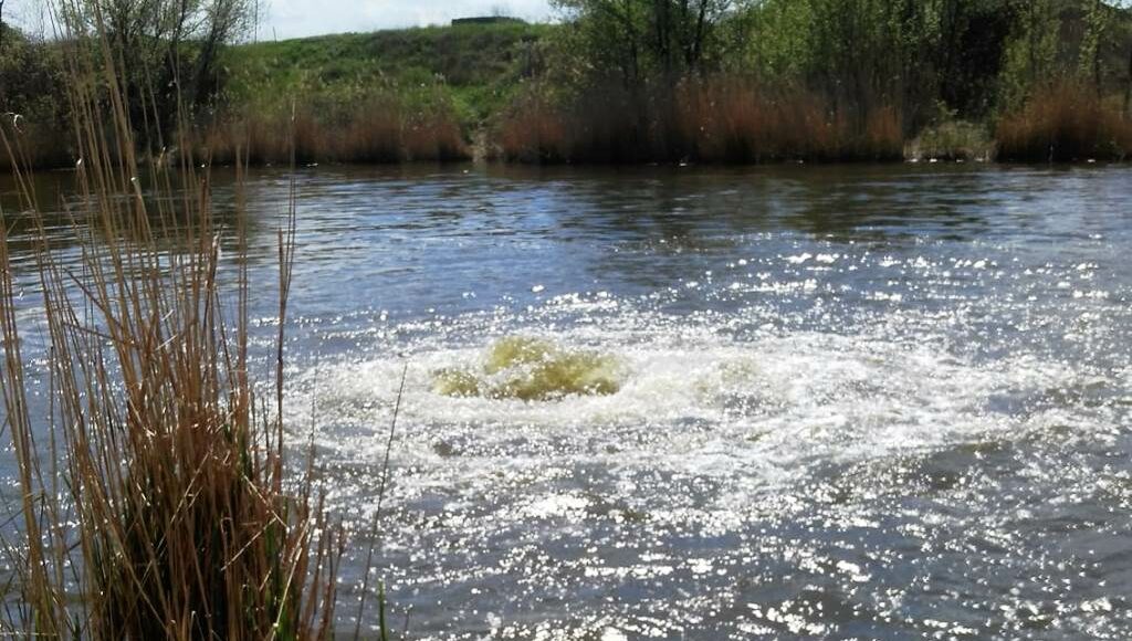 У Слов'янську вирує вода в річці Казенний Торець: що сталося (відео)