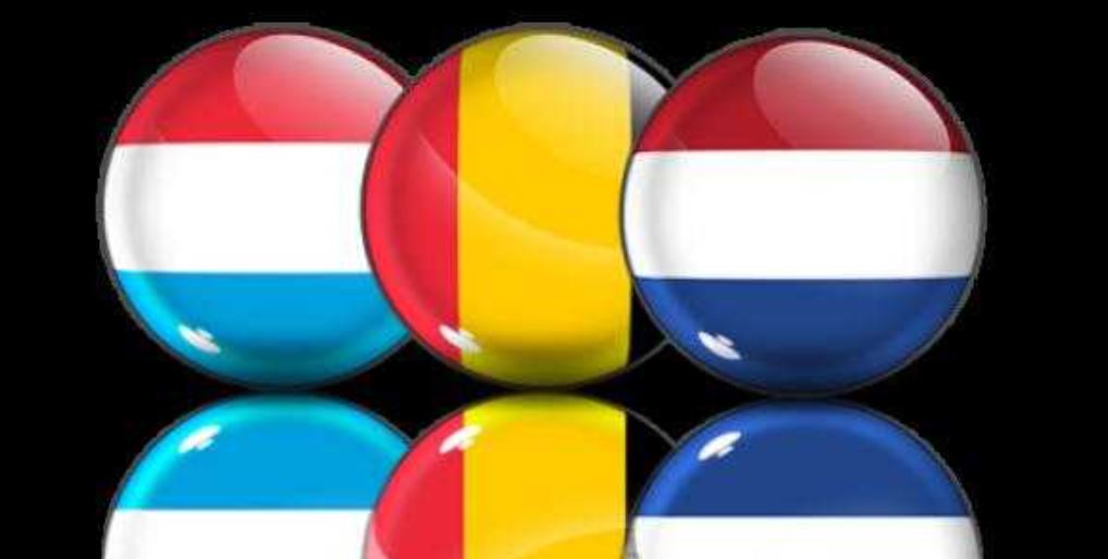 Сегодня Донецкую и Луганскую области посетят главы МИД Бельгии, Нидерландов и Люксембурга
