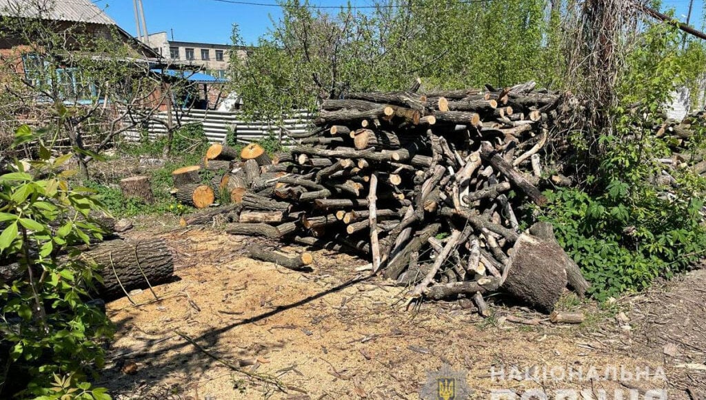 Жителю Донеччини загрожує в'язниця за нелегальну реалізацію деревини