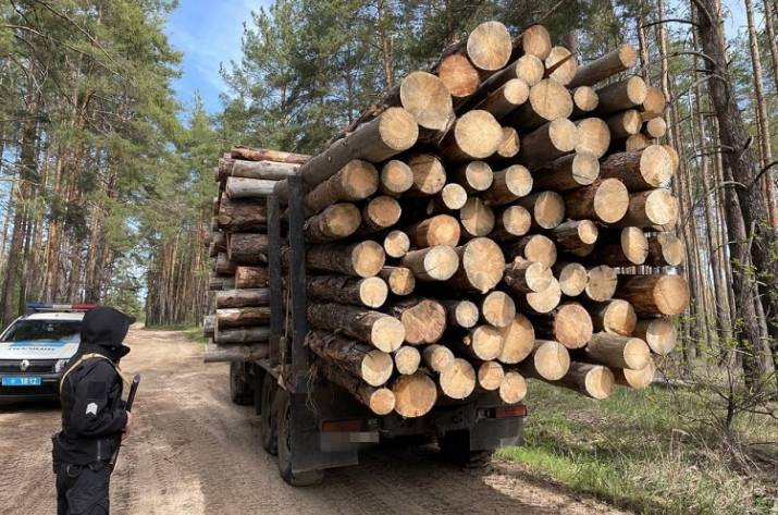 На Луганщині затримали нелегального перевізника деревини