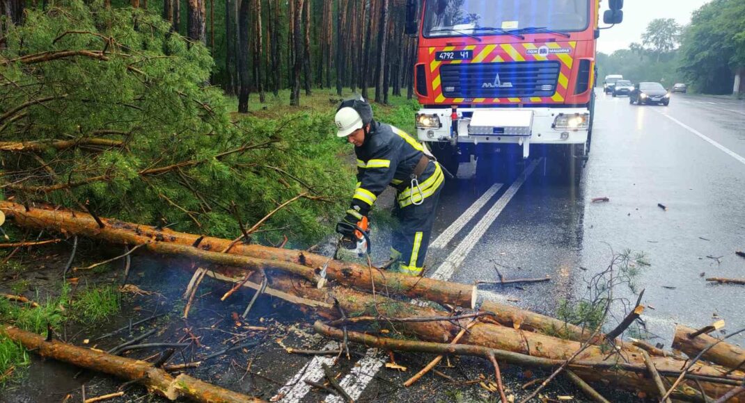 На Донеччині рятувальники ДСНС прибрали дерево, що впало та перекрило рух автомобілів обласною дорогою