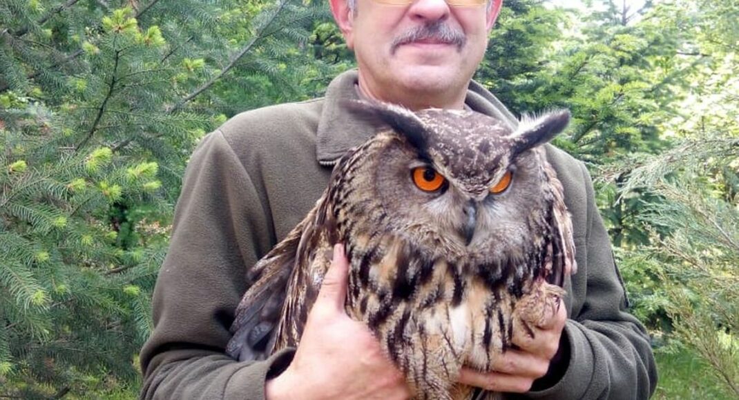 У Лиманському лісництві врятували сову і дитинча косулі