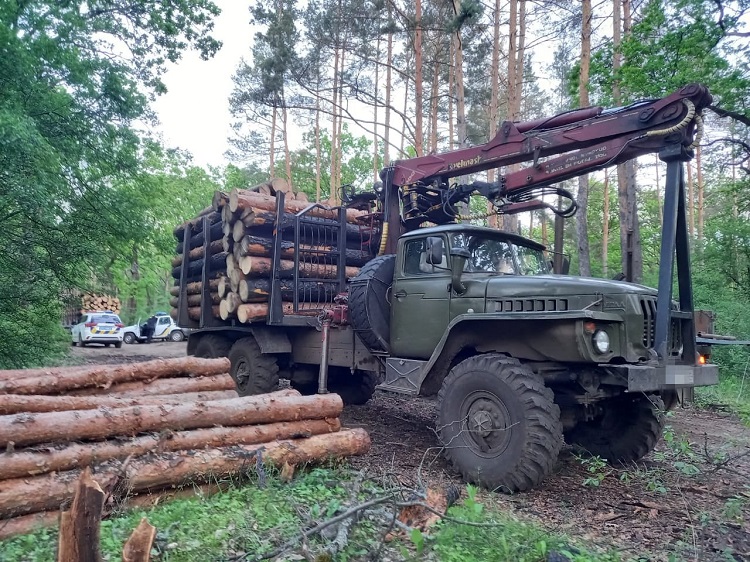 На Луганщині припинили незаконну вирубку лісу: вивозили на вантажівках