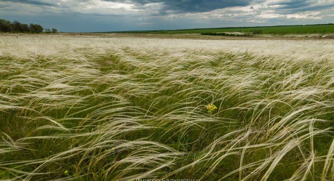 На Донеччині Держгеокадастр виніс на торги території національного парку, 4-х заказників, Смарагдової мережі