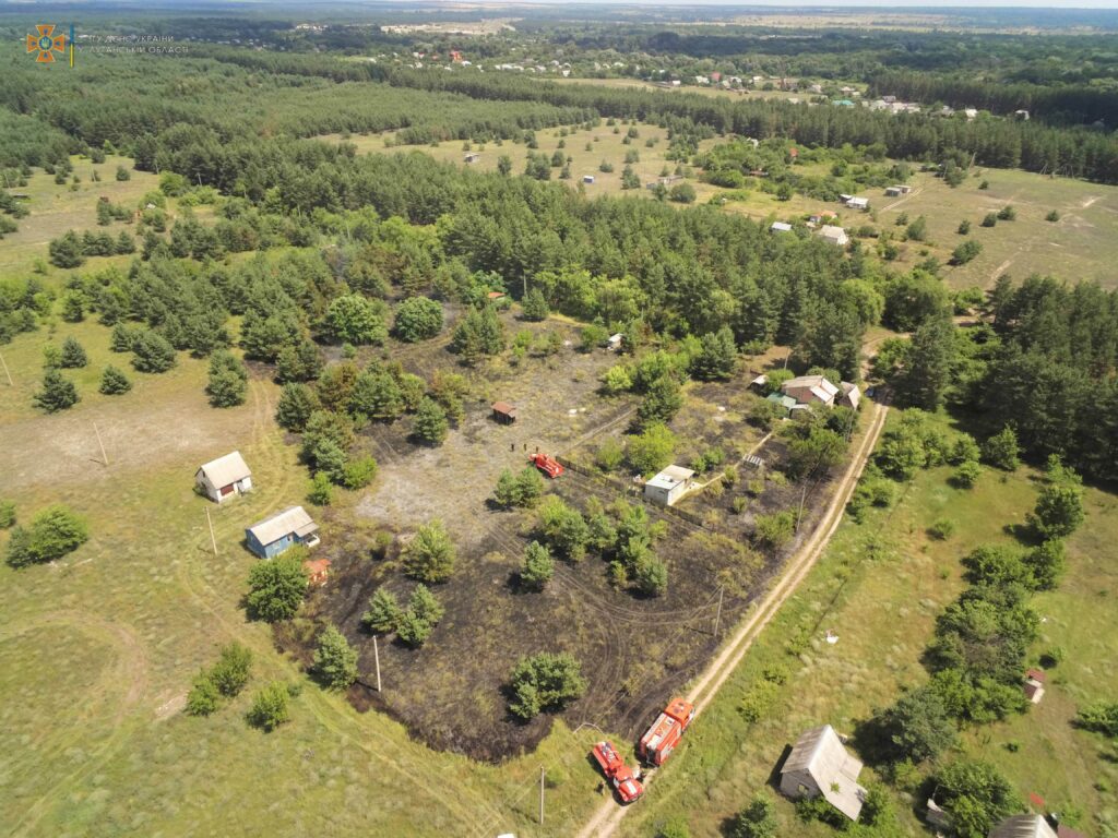 На Луганщине снова горят леса: сегодня горел лес в Счастьенском районе (фото)