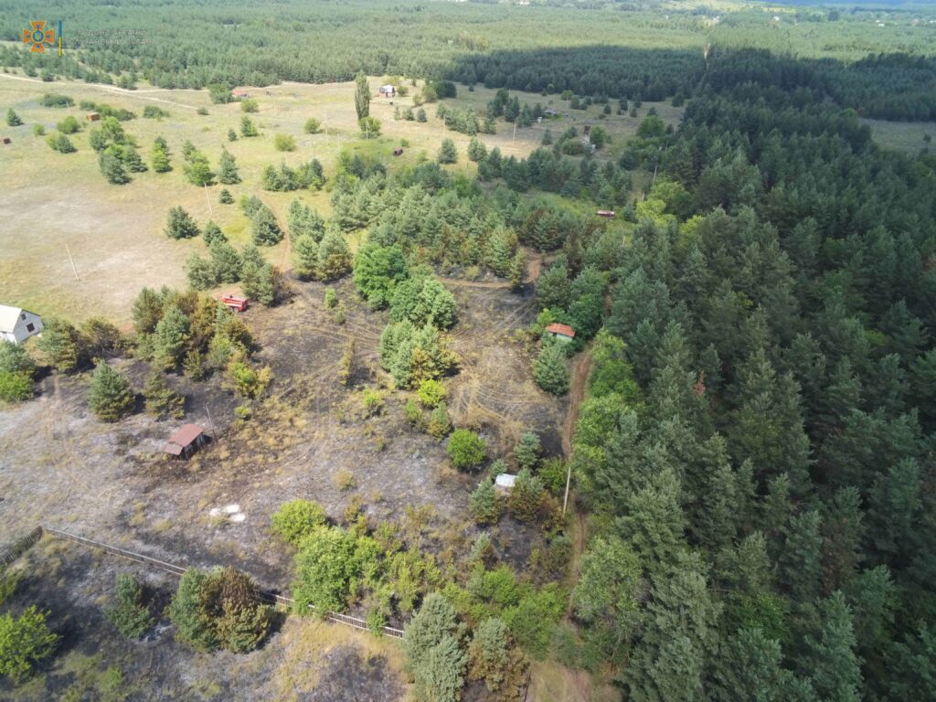На Луганщине снова горят леса: сегодня горел лес в Счастьенском районе