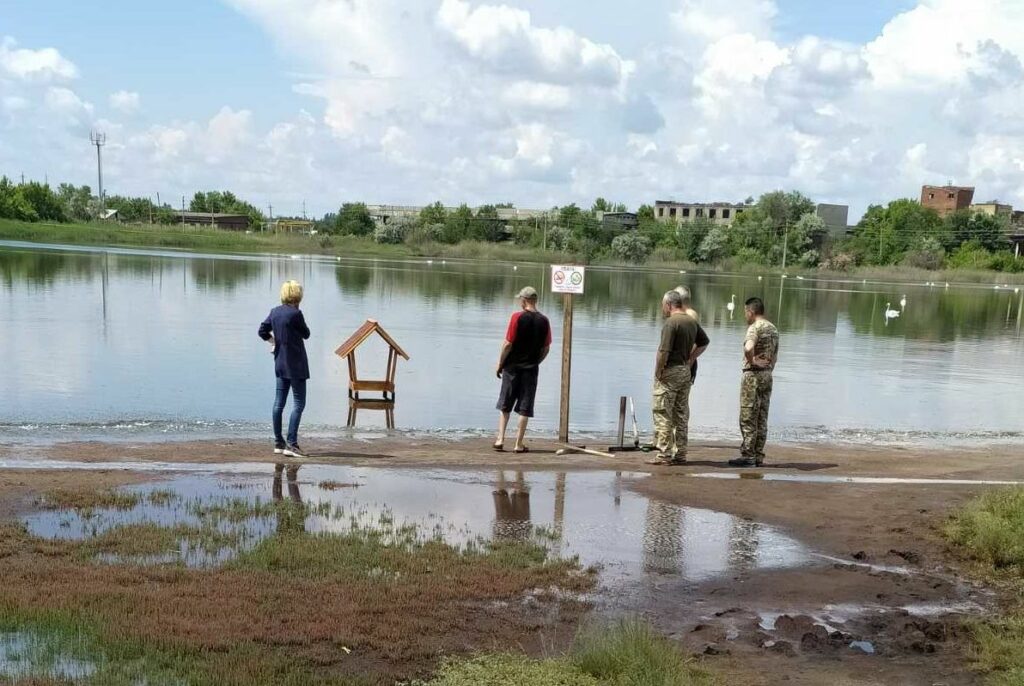 кормушки для лебедей