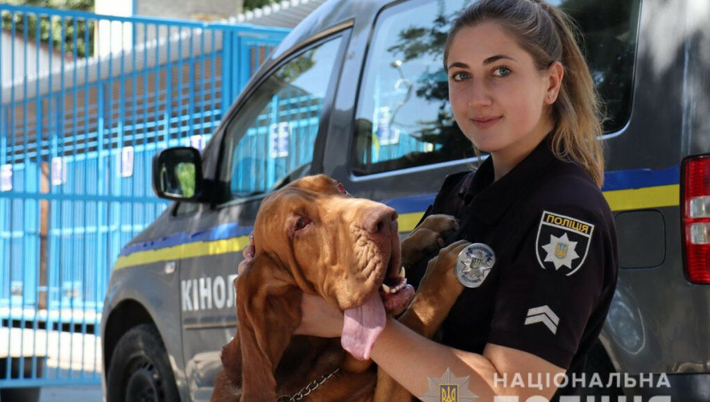 Кінологічний центр і музей поліції в Маріуполі стали туристичними об'єктами