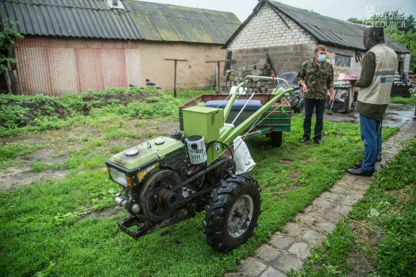 переселенец разводит свиней