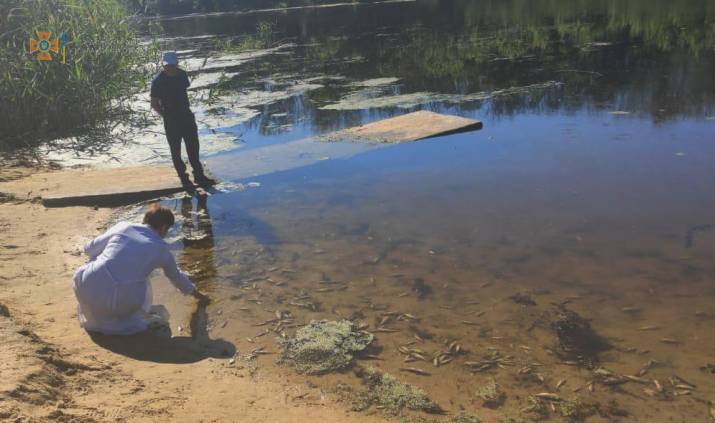 На Луганщині дозволили купатися і ловити рибу в річці Айдар